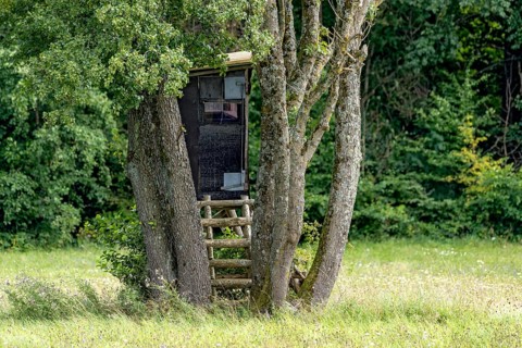 High seat hidden in a group of trees at the edge of the forest