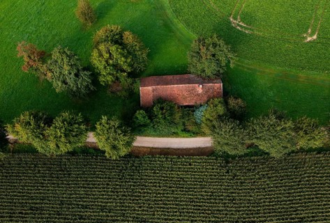 Old house roof in an agricultural landscape with maize field and gravel path from above