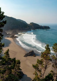 Sandy beach beach by the sea