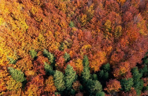 Drone image