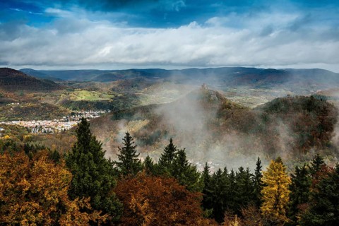 Autumnal coloured forest and mountains