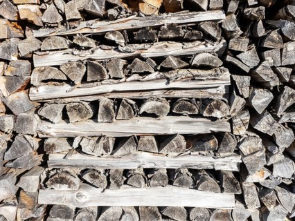 Stacked firewood