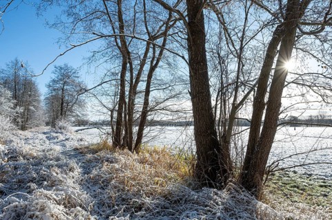 Snow