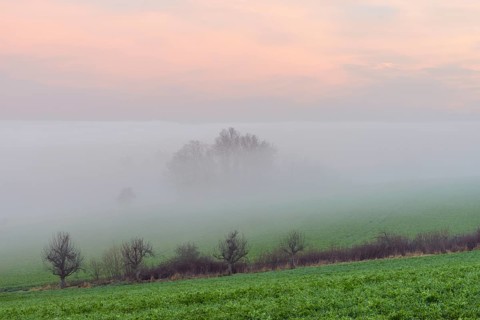 Countryside at Dawn with Morning Mist