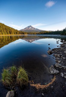 Lake shore
