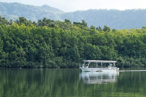 Tourist boat on the Daintree river