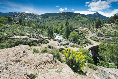 Mountain landscape