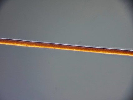 Human hair dyed with henna