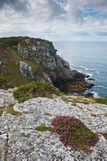 Rocky coast