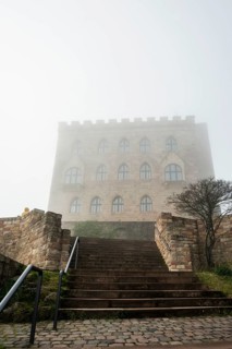 Hambach Castle in the fog