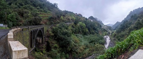 Green gorge with fog near Ribeiro Frio