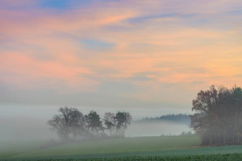 Countryside at Dawn with Morning Mist