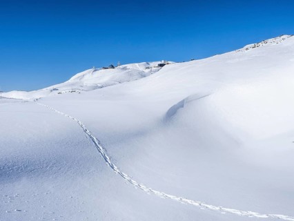 Blue sky over winter landscape