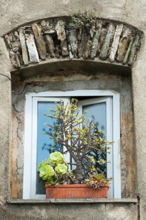 Window with flowerpot