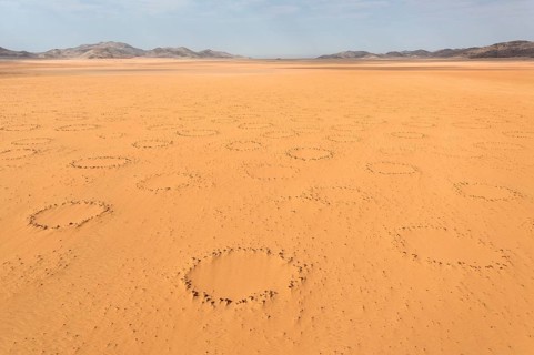 Sandy desert plain with so-called Fairy Circles