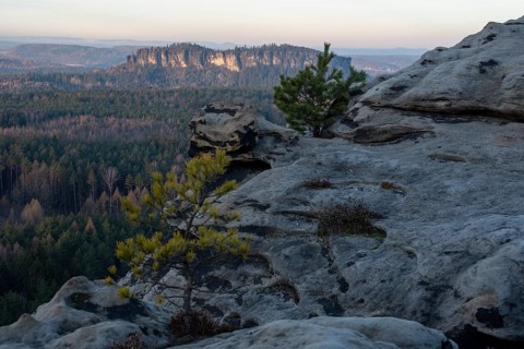 Table Mountain Pfaffenstein