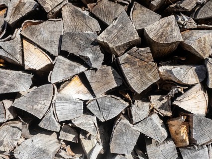 Stacked firewood