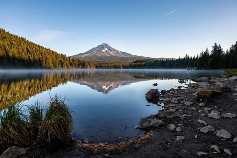 Lake shore
