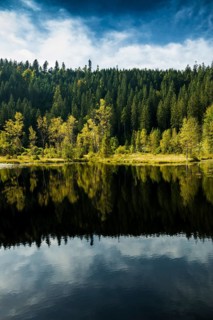 Moorsee