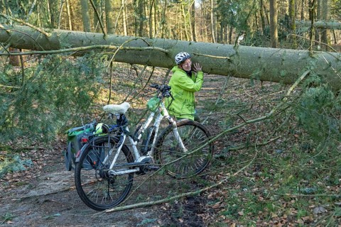 Woman cycling through the forest on an e-bike after a storm