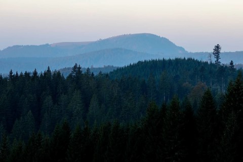 View in the morning light of the Belchen in the Black Forest