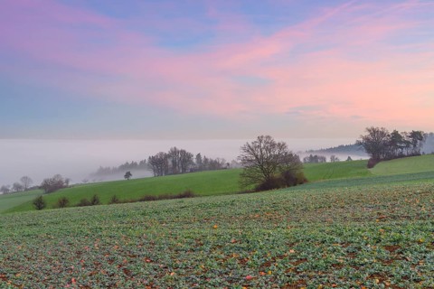 Countryside at Dawn with Morning Mist