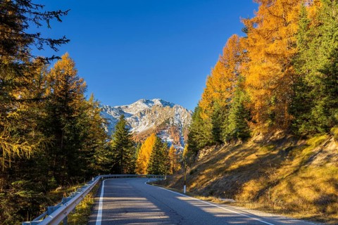 Mountain road in autumn