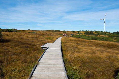 High moor and boardwalk