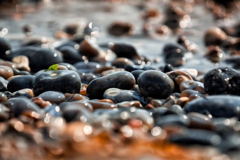 Shiny pebbles on the beach illuminated by the sun