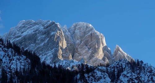 Winter landscape