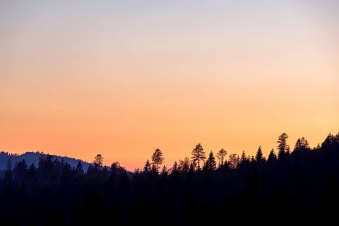 View in the morning light of the Belchen in the Black Forest