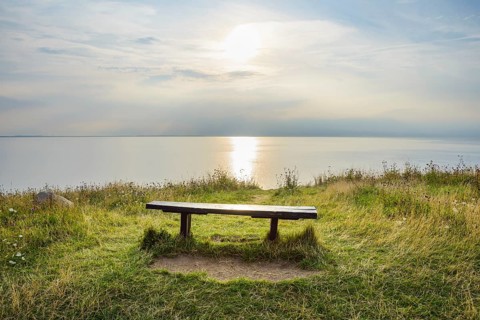 Shoreline with Sun and Bench in Summer