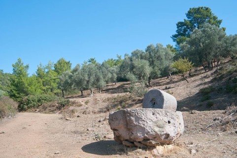 Old stone oil press