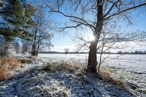 Snow