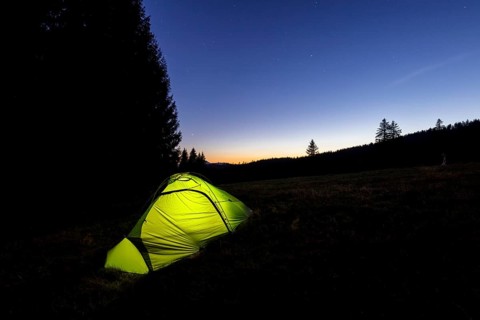Illuminated green tent at the edge of the forest