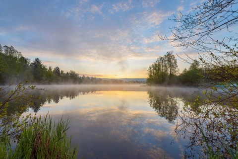 Lake with morning mist at dawn