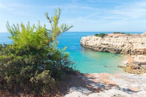 Rock cliff landscape Praia da Albandeira