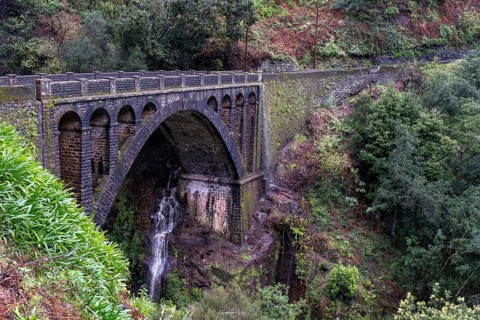Bridge over green gorge with fog near Ribeiro Frio