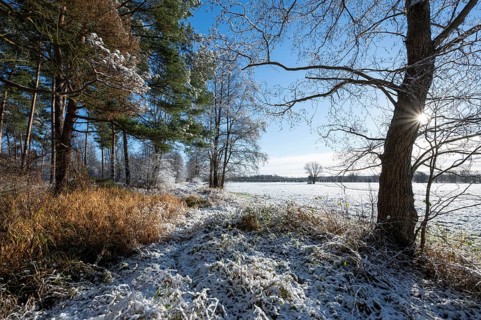 Snow