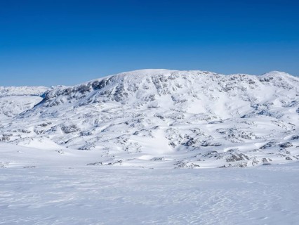 Blue sky over winter landscape