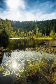 Moorsee