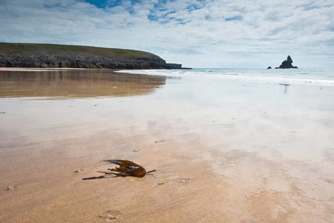 Rocky coast in Pembrokeshire National Park