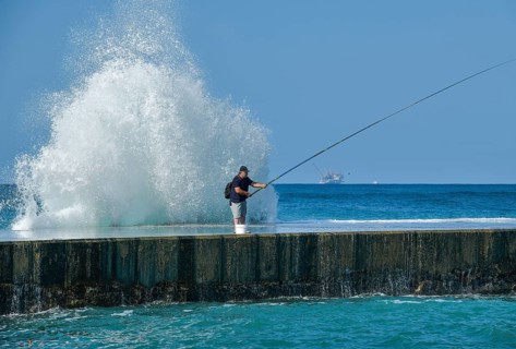 Angler
