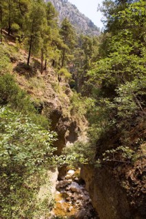 Kibris Gorge