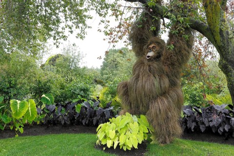 Monkey