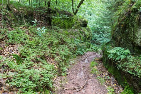 Gueldene Pforte