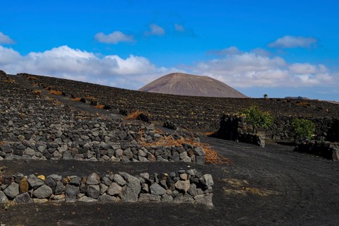 Walls of lava rock on the estate of Bodega El Grifo