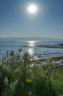 Beach near Migdal
