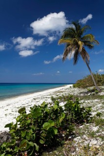 Sandy beach beach with lagoon