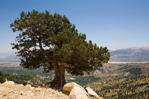 Akdag Highlands